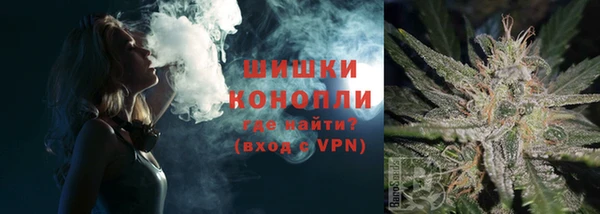 тгк Ельня