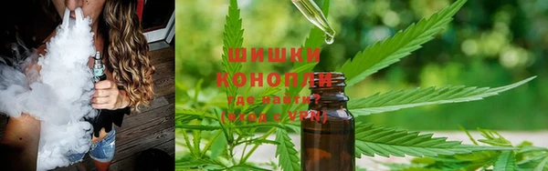 тгк Ельня