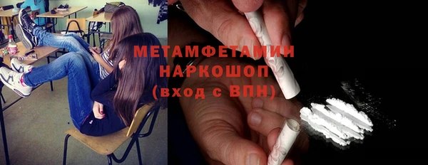прущие грибы Елизово