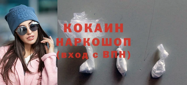 прущие грибы Елизово
