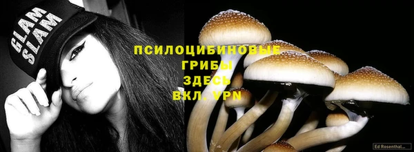 тгк Ельня