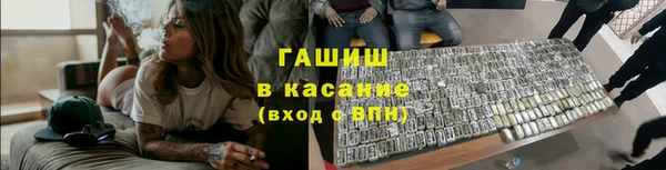 тгк Ельня