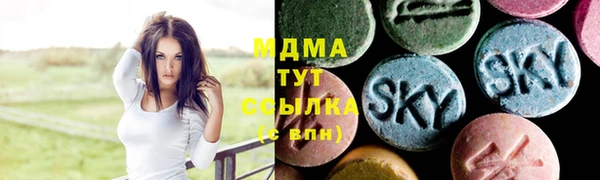 дживик Елабуга