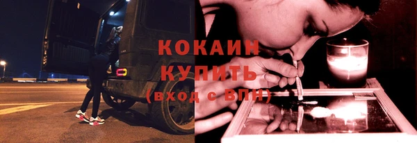 дживик Елабуга
