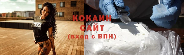 прущие грибы Елизово