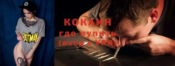 тгк Ельня