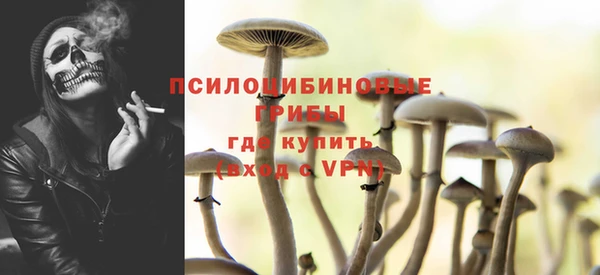 тгк Ельня