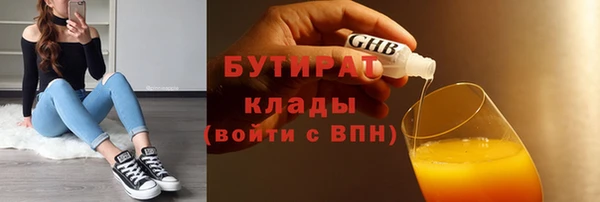 тгк Ельня