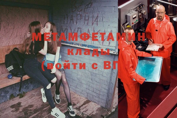 прущие грибы Елизово