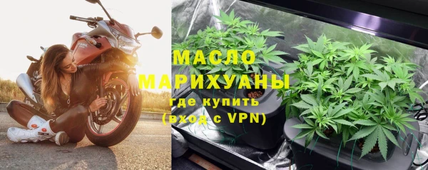 тгк Ельня