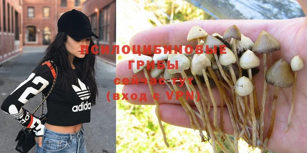 тгк Ельня
