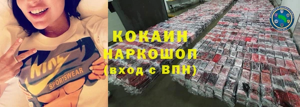 тгк Ельня