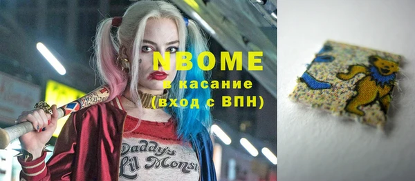 тгк Ельня