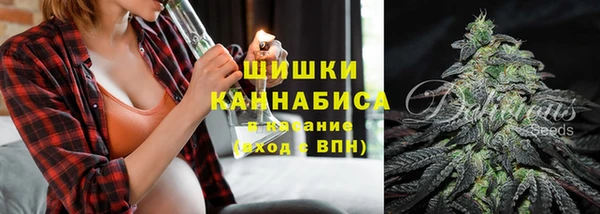 дживик Елабуга