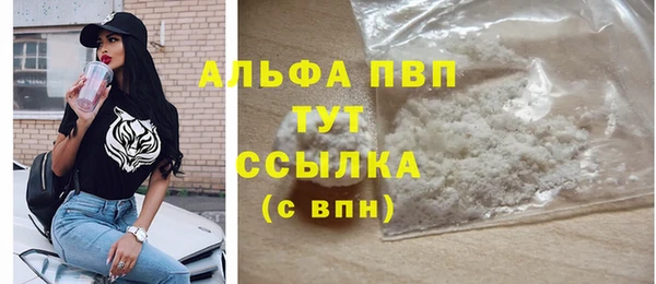 дживик Елабуга
