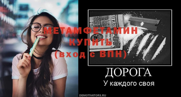 прущие грибы Елизово