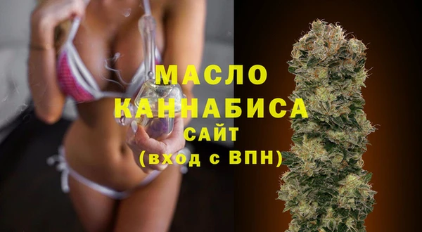 тгк Ельня