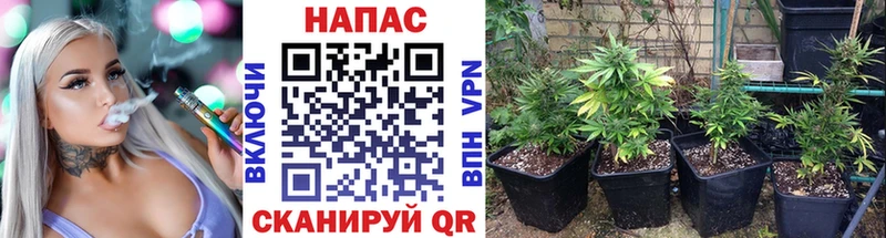 закладка  Иннополис  Каннабис Amnesia 